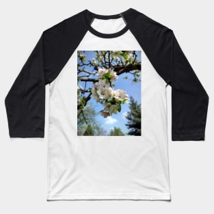 Apple blossoms on an old tree Baseball T-Shirt